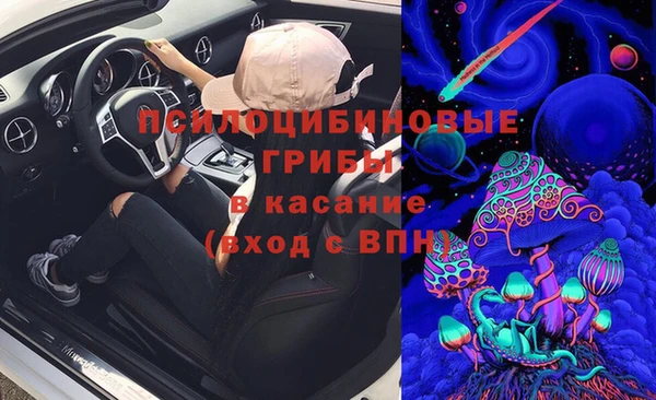соль ск Алзамай
