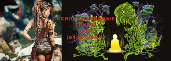 метадон Алексин