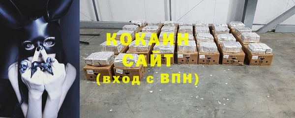 соль ск Алзамай
