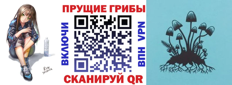 Псилоцибиновые грибы MAGIC MUSHROOMS  Березники 